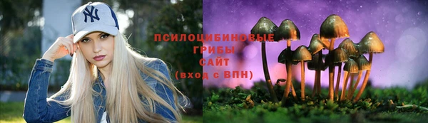 СК Арсеньев