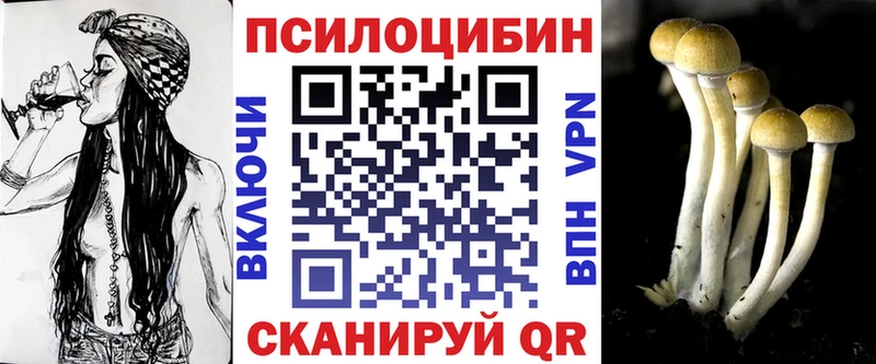 Галлюциногенные грибы мицелий  Онега 